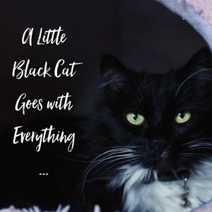 Just sayin’...🥰